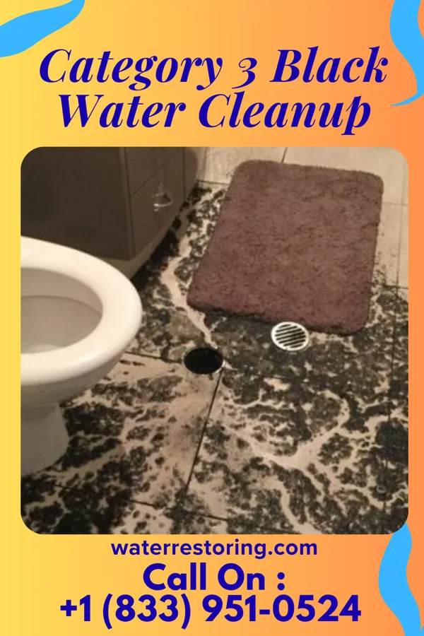 Category 3 Black Water Cleanup in Harrisburg, OR